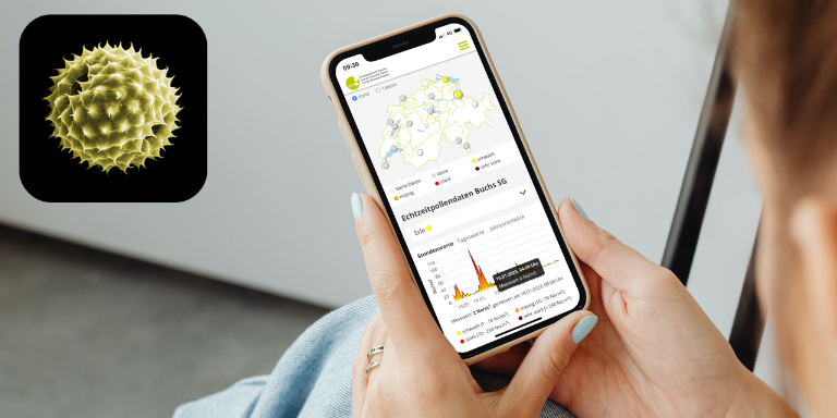 Neues Layout: Pollendaten in Echtzeit