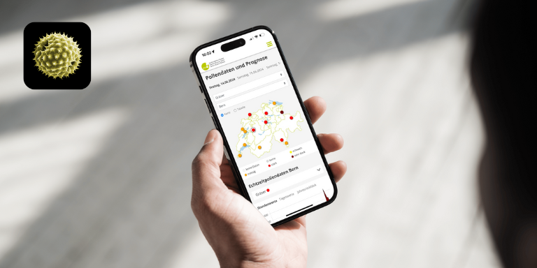 Eine Person benutzt die Pollen-News App