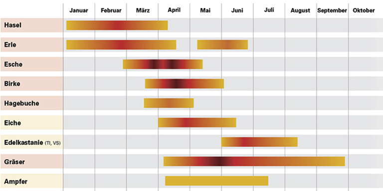 Ausschnitt aus Pollenkalender