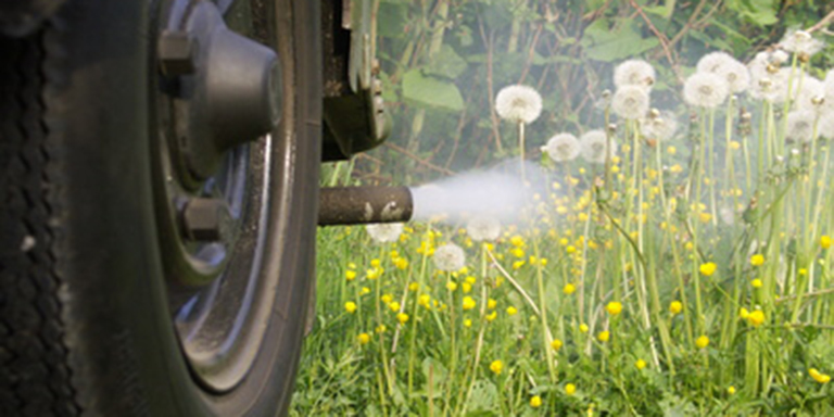Pollen und Luftschadstoffe - Auto mit rauchendem Auspuff auf grüner Wiese