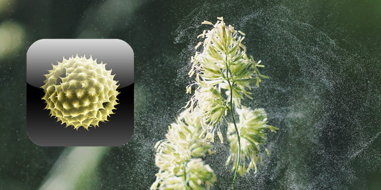 Pollenstäubende Pflanze mit App-Icon mit Pollen