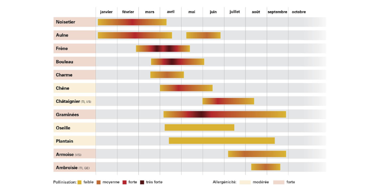 Calendrier pollinique Suisse