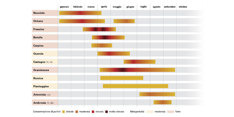 Calendario dei pollini Svizzera